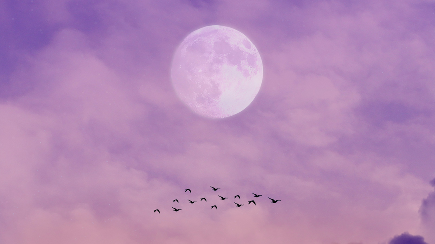Wochenhoroskop: So wirkt sich der Vollmond auf dein Wochenende aus