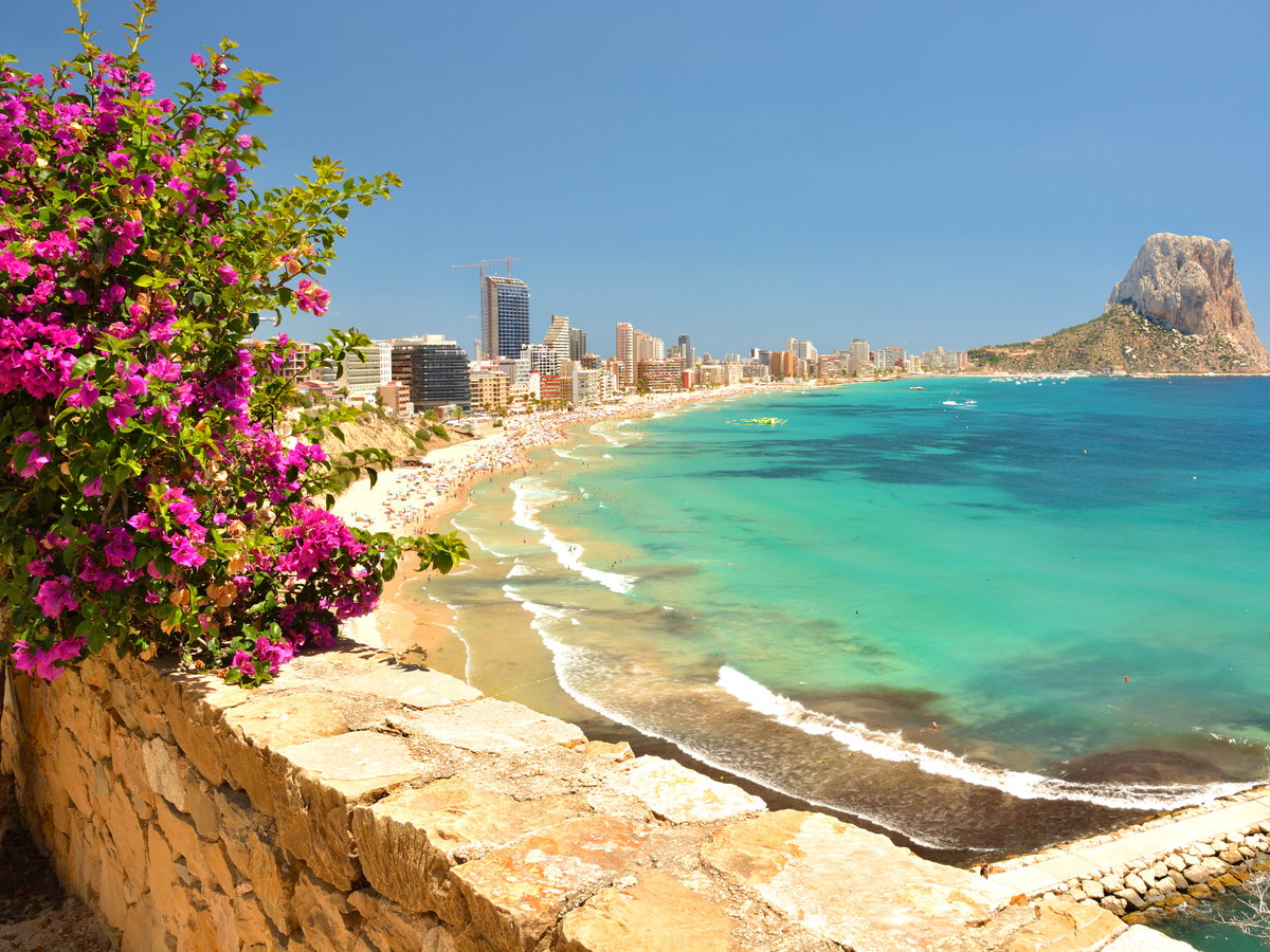 Ein Strand an der Costa Blanca mit Blumen im Vordergrund und Hochhäusern im Hintergrund.