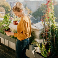 Pflanzen für einen sonnigen Balkon: Diese 10 Gewächse lieben das Licht und die Wärme