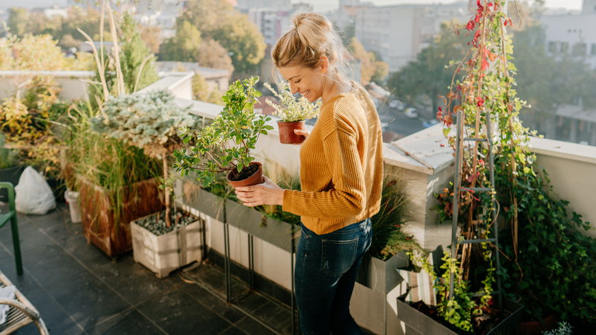 Pflanzen für einen sonnigen Balkon: Diese 10 Gewächse lieben das Licht und die Wärme