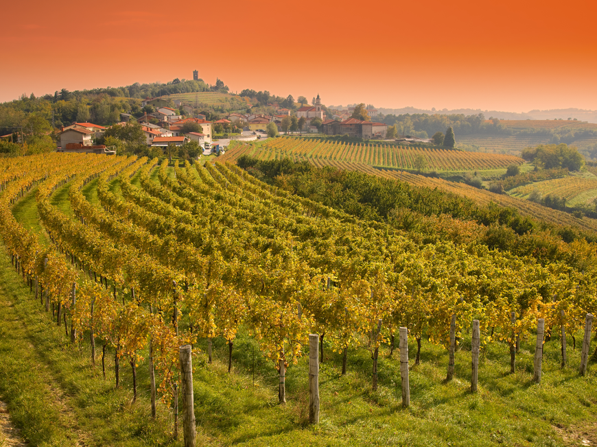 Slowenische Weinhügel