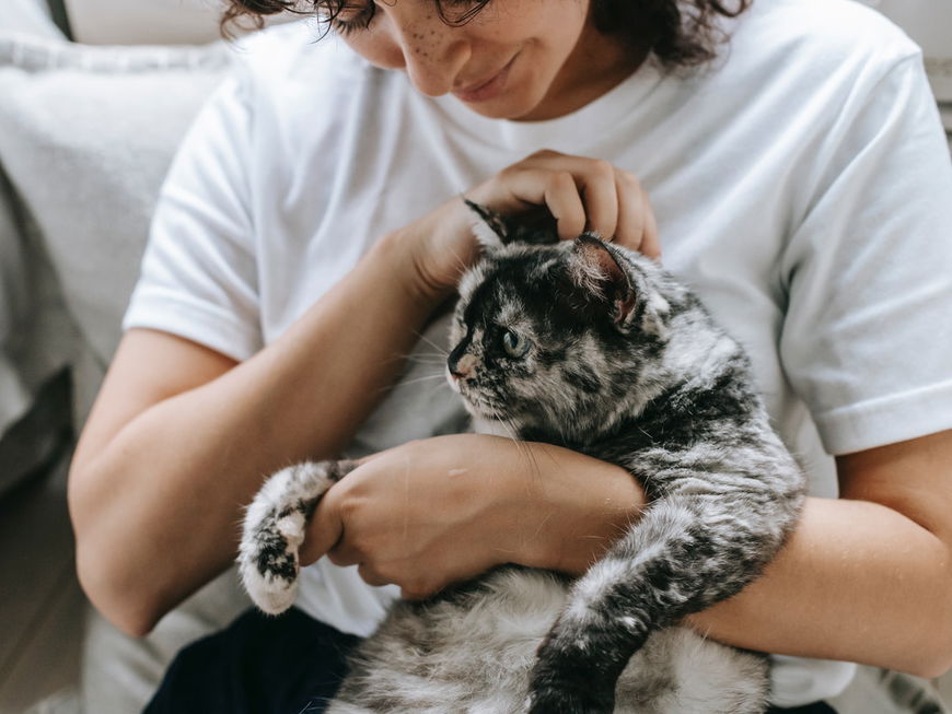 Frau hält eine Katze auf dem Arm und schmust mit ihr.