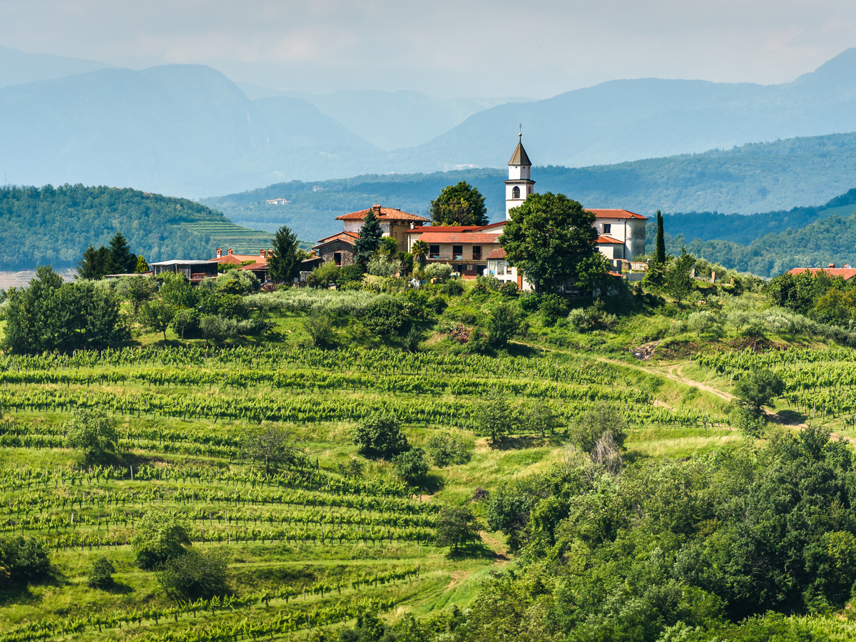 Weinregion Goriska Brda Hügel in Slowenien
