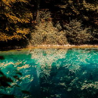 Blautopf in Blaubeuren: Dieses deutsche Naturspektakel könnte auch in Island sein