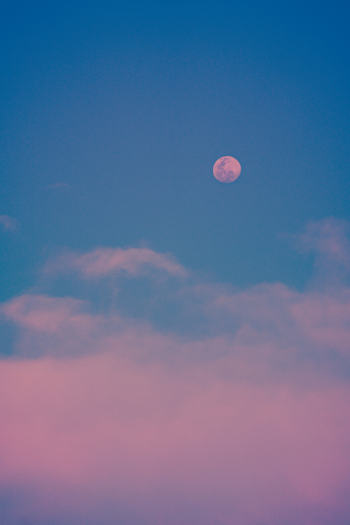 pinker Vollmond am Himmel
