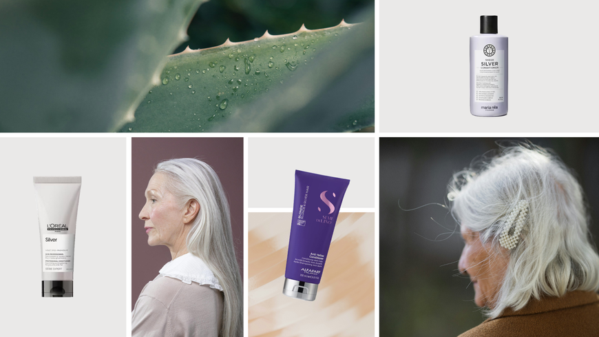 Bester Conditioner für graue Haare: 3 Favoriten, die deine Mähne zum Strahlen bringen