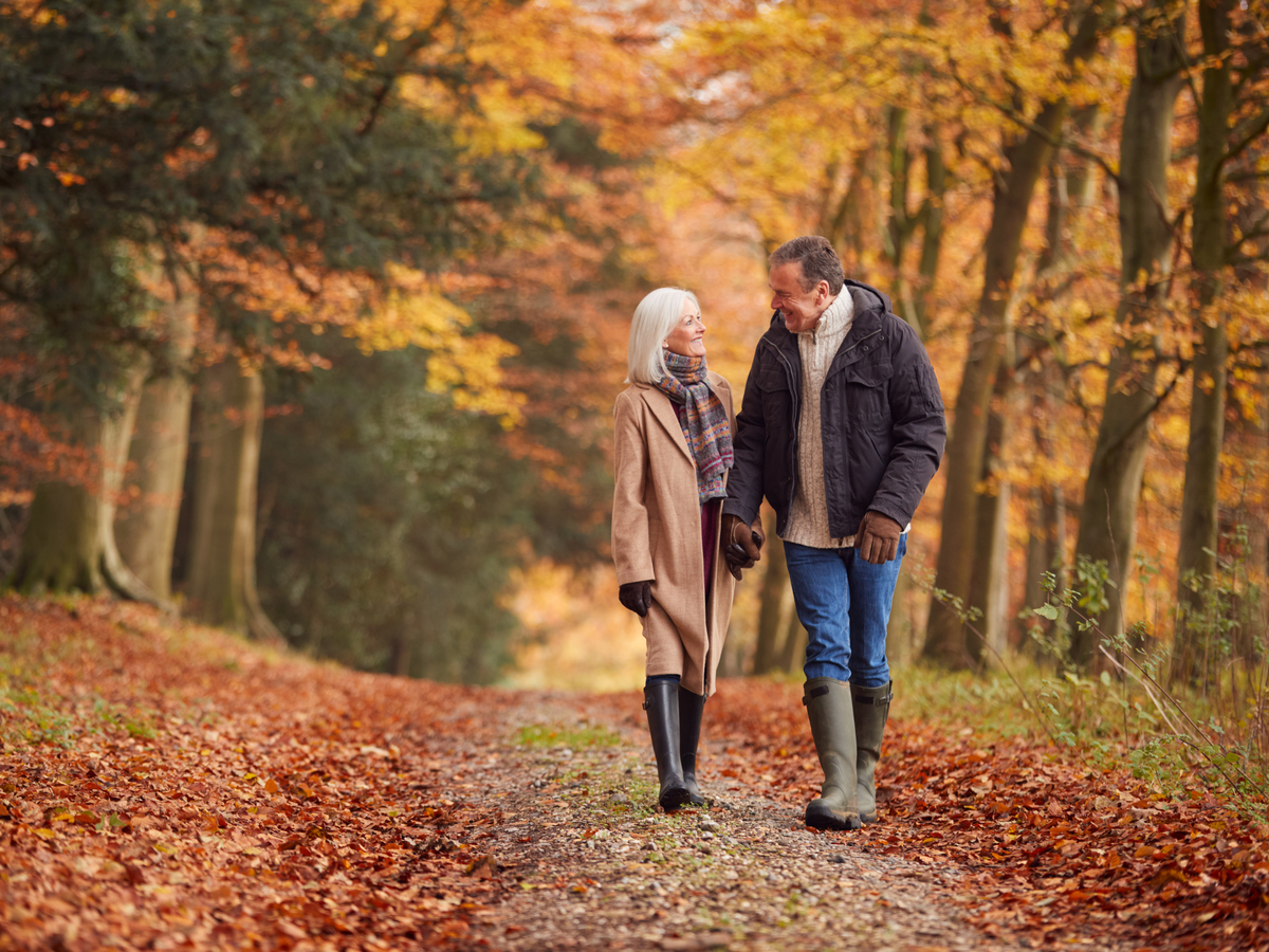 Pärchen geht im Herbstwald spazieren