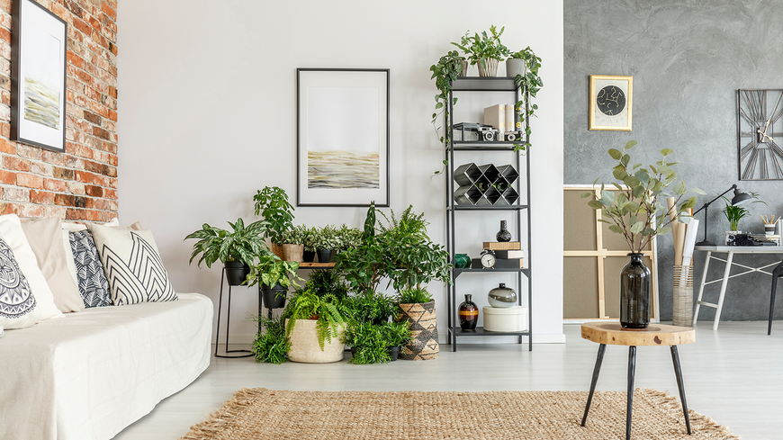 Wohlfühlen beginnt im Wohnzimmer: 5 Möbelstücke, die dein Zuhause verändern