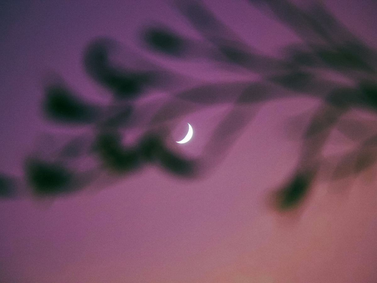 Mond am lila Abendhimmel