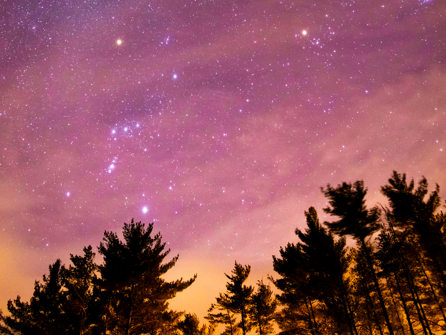 Lila Sternenhimmel mit schwarzen Tannenbäumen