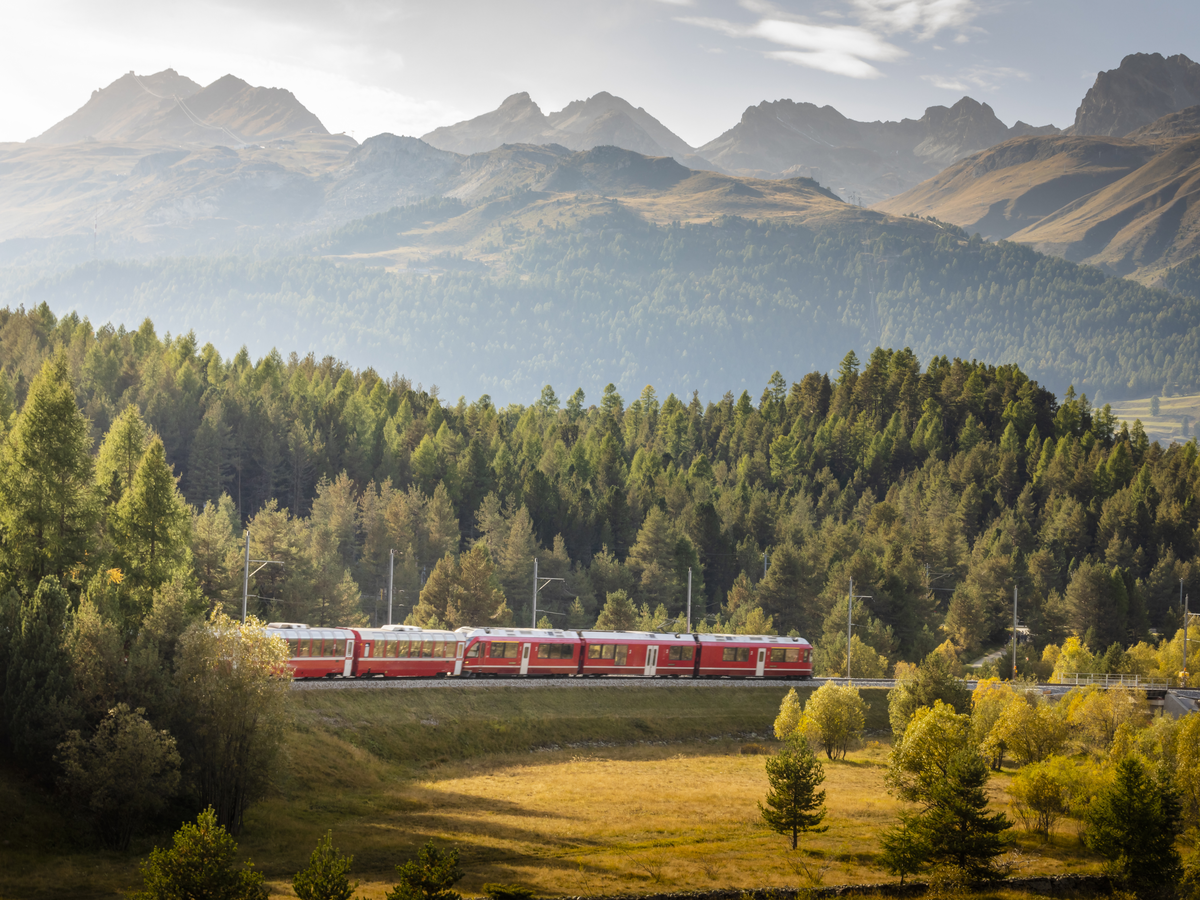 Zug vor Bergkulisse