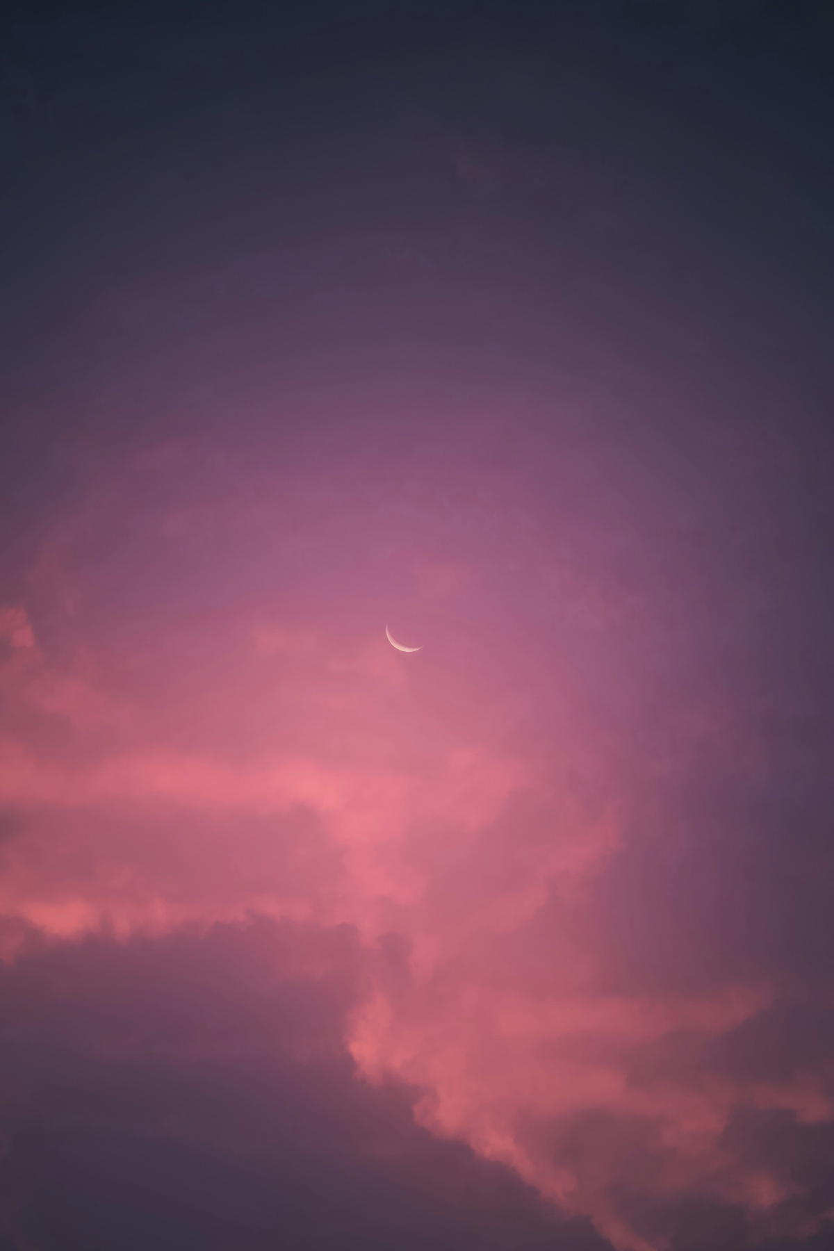 Rosa Wolkenhimmel mit Sichelmond