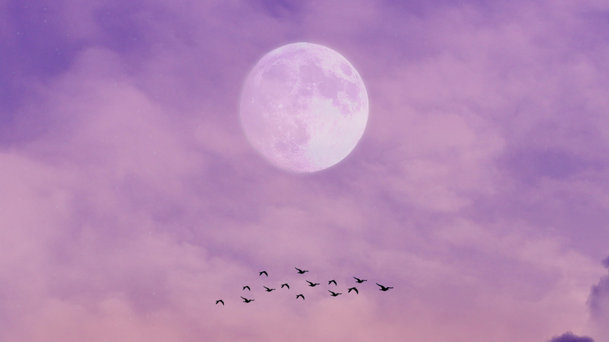 Wochenhoroskop: Das steht deinem Sternzeichen noch bis zum Vollmond-Sonntag bevor