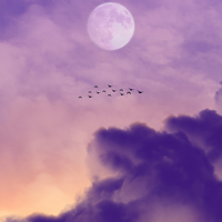 Wochenhoroskop: Das steht deinem Sternzeichen noch bis zum Vollmond-Sonntag bevor
