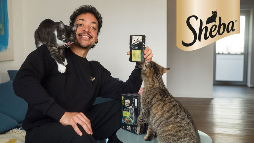  Zum „Respect Your Cat Day“ köstliche SHEBA® Produkt Pakete gewinnen