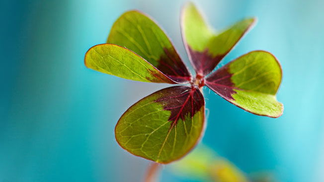10 Schritte zum Glück
