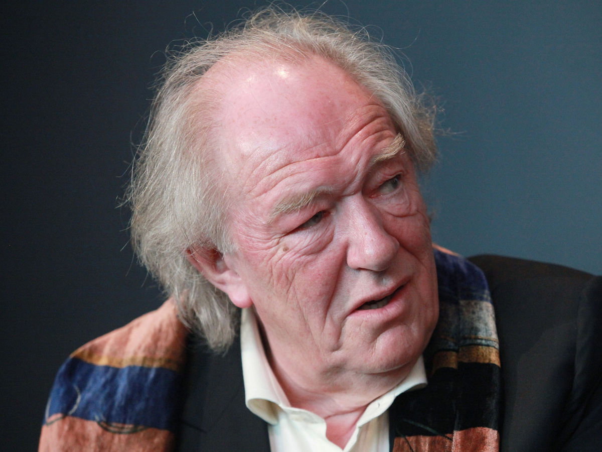 Michael Gambon Dumbledore