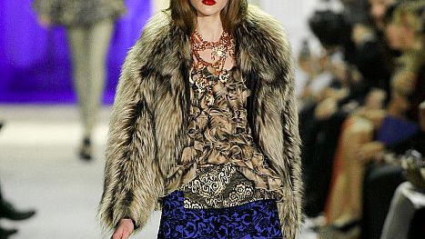 Just Cavalli