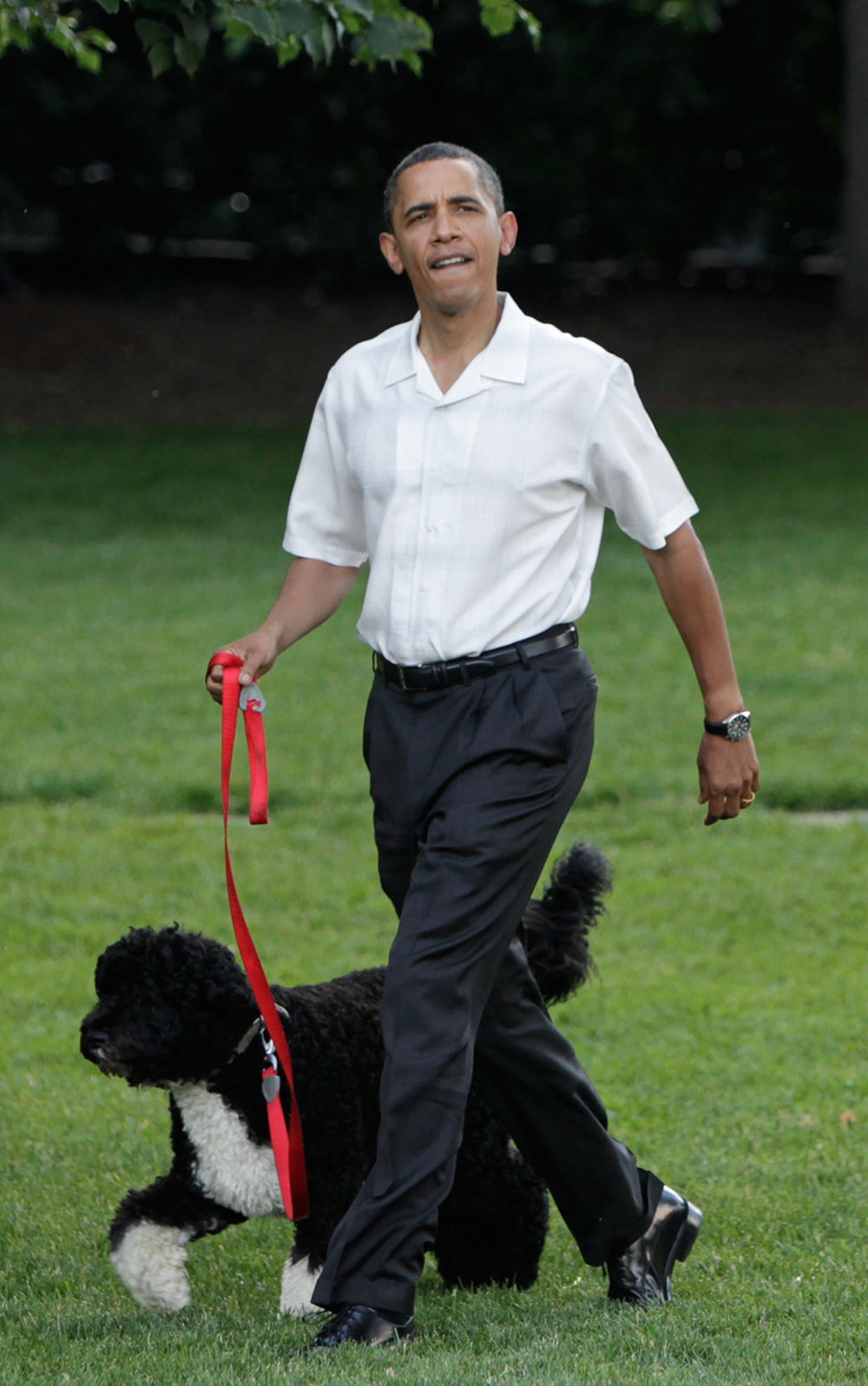 Barack Obama Hund