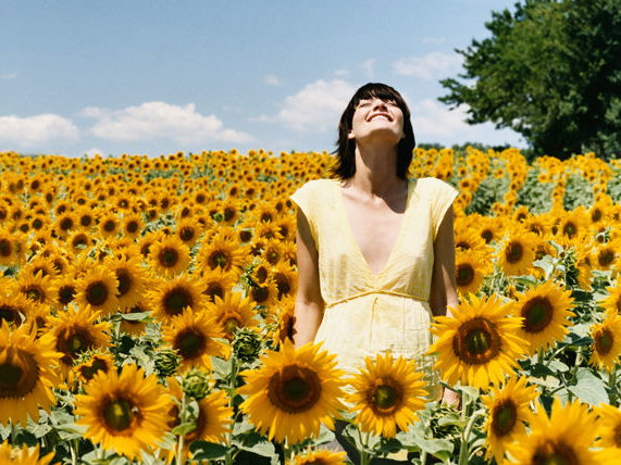 Junge Frau in Sonnenblumenfeld