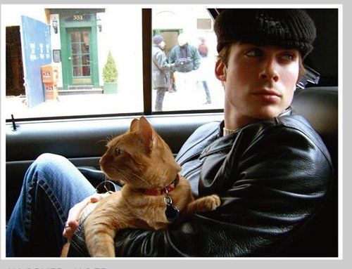 Ian Somerhalder und Katze
