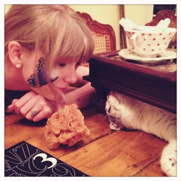Taylor Swift und Katze