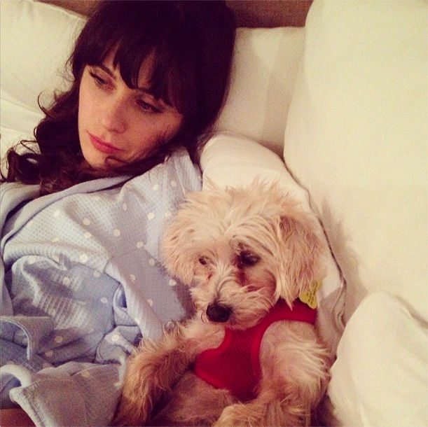 Zooey Deschanel