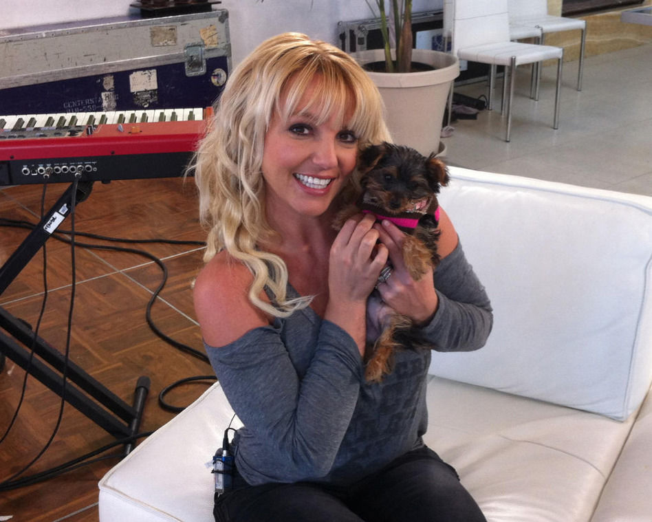 Britney Spears & Hund Hannah