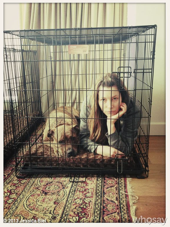 Jessica Biel & Hund Tina
