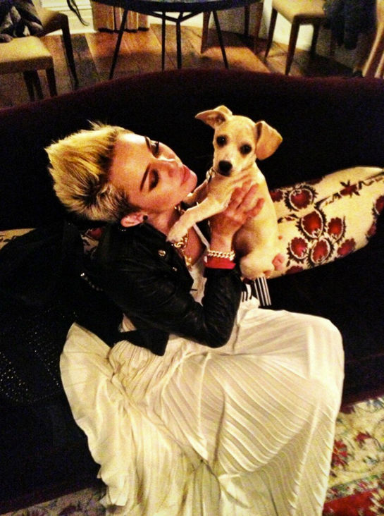 Miley Cyrus und Hund