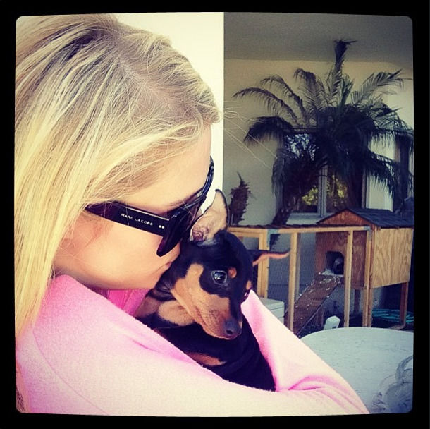 Paris Hilton & Hund Dollar