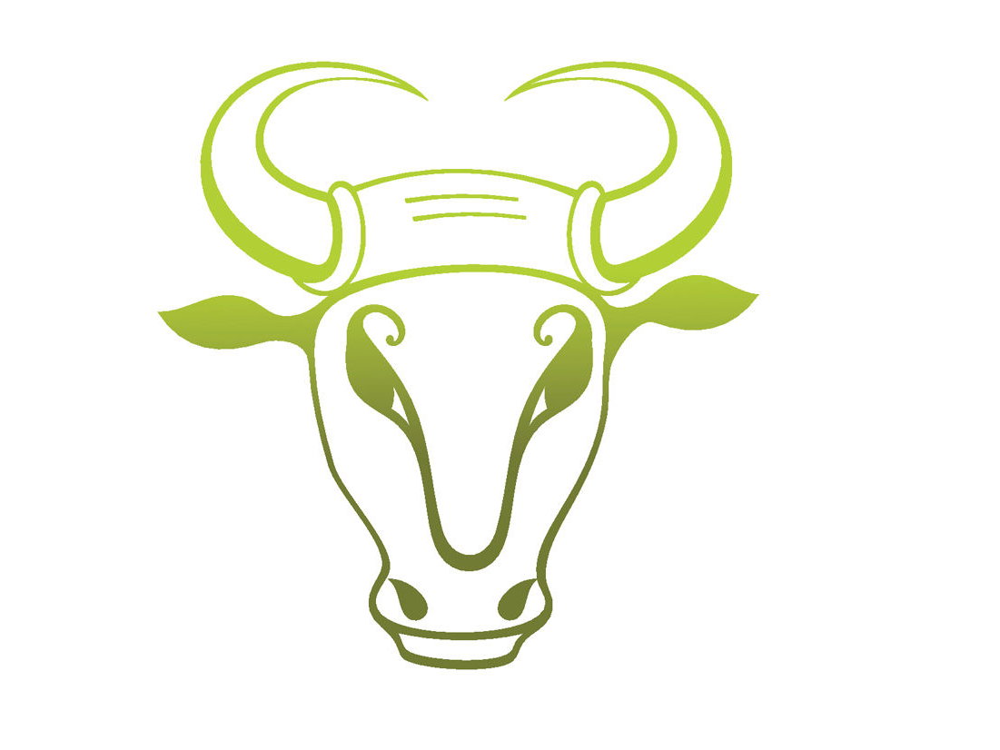 Stier