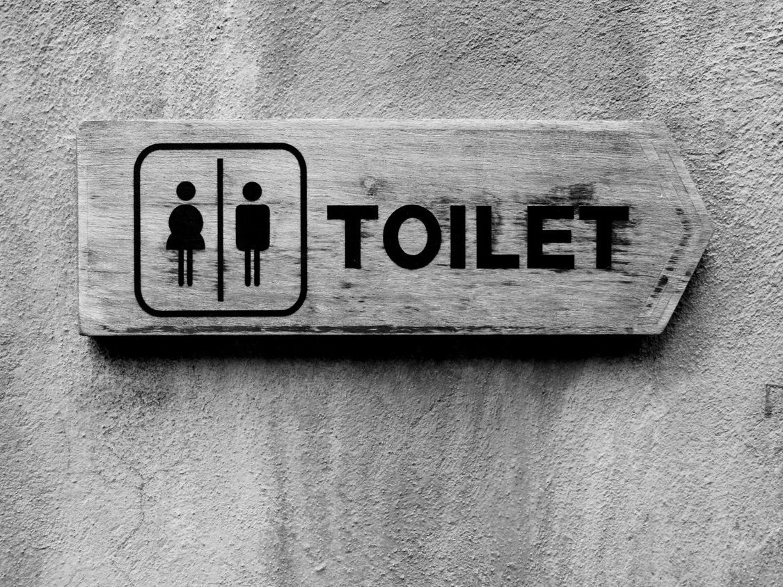 Traum Toilette