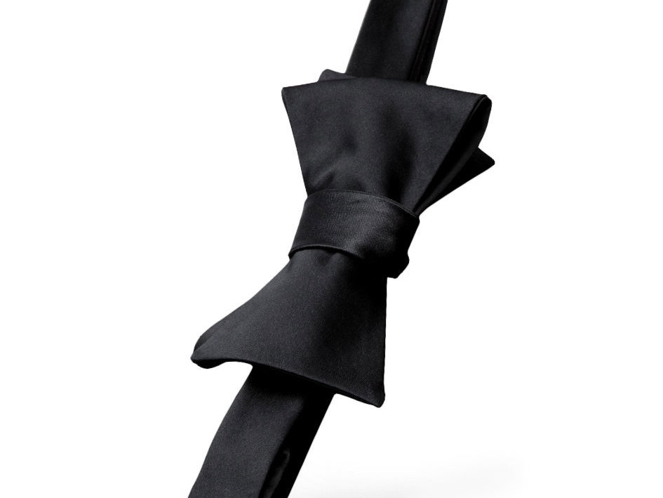 Fliege Chrisitan Grey