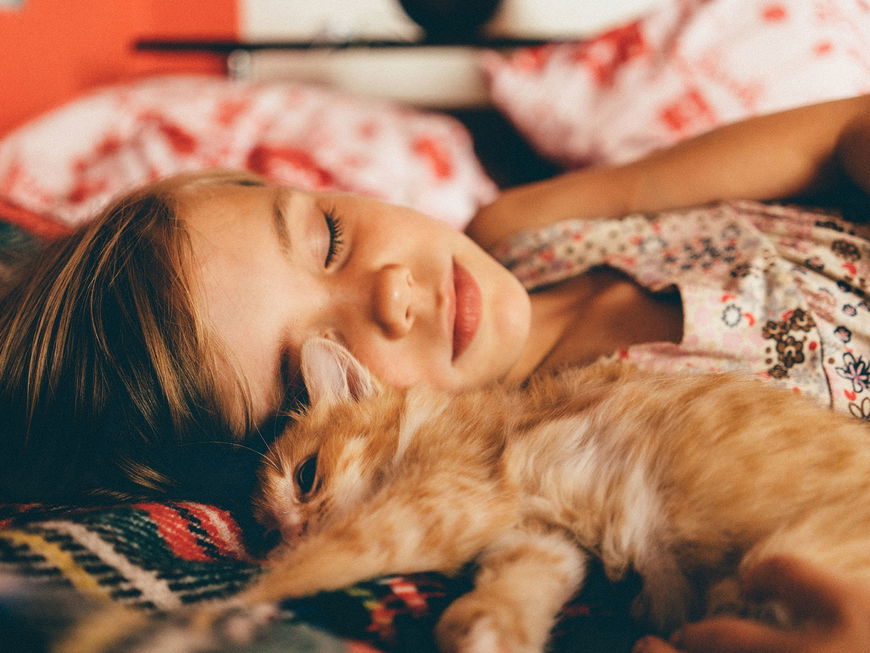 Darum sollten Katzen mit bei uns im Bett schlafen