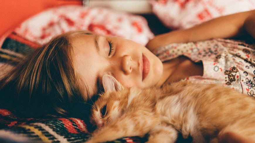 Darum sollten Katzen mit bei uns im Bett schlafen