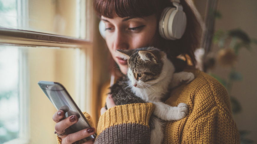 Musik für Haustiere? Jetzt bekommen sie ihre eigene Playlist