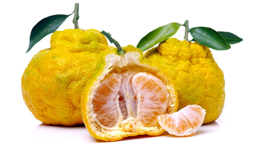Ugli-Frucht: Dieses Superfood hilft beim Abnehmen