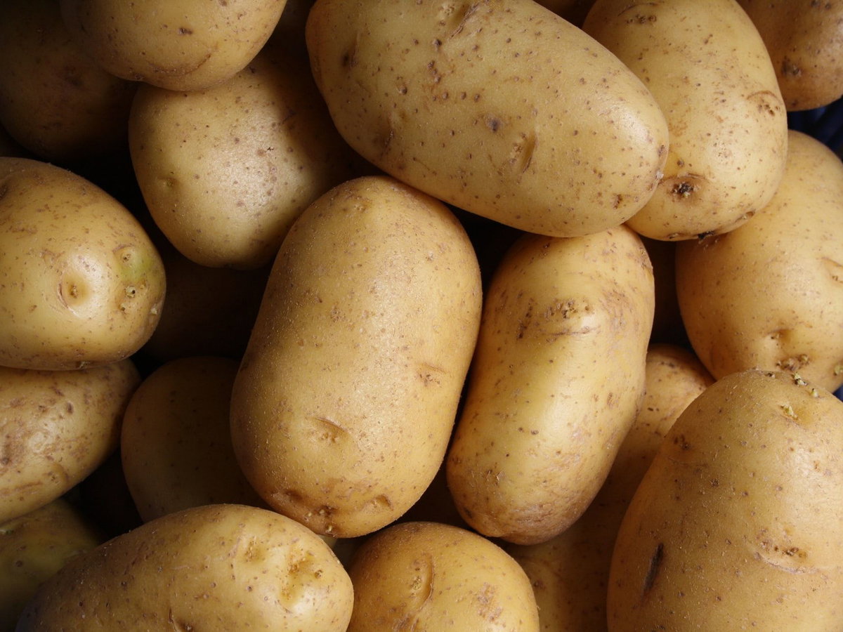 Kartoffeln