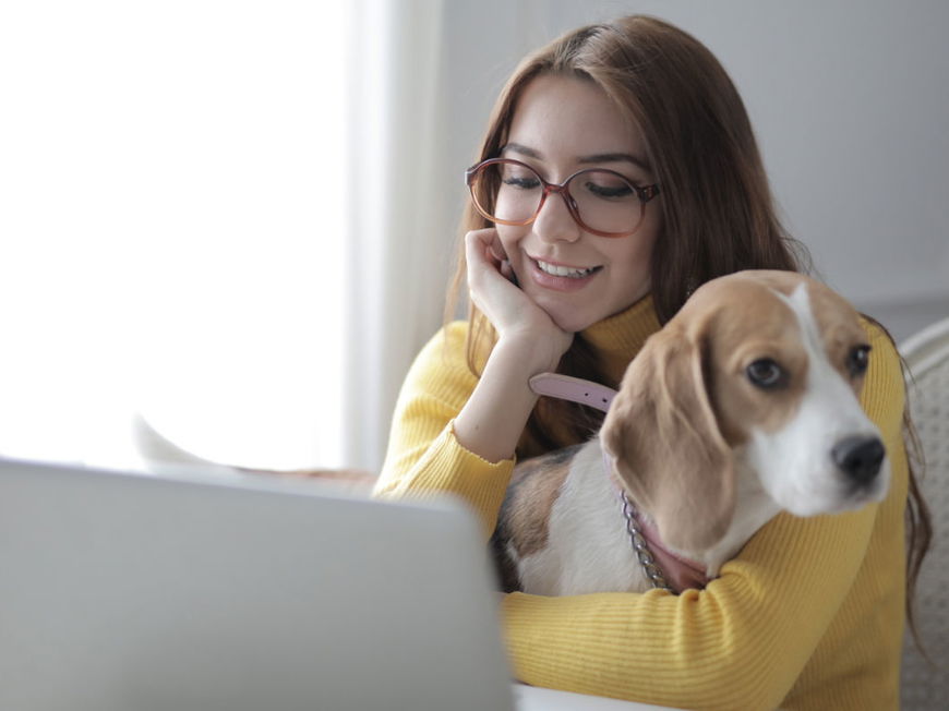 Neue Studie zeigt: Haustiere im Home Office sind gut für die Psyche