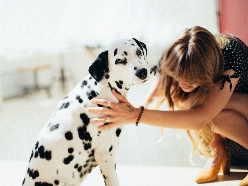 Diese 7 Dinge zeigen, dass dein Hund dich liebt