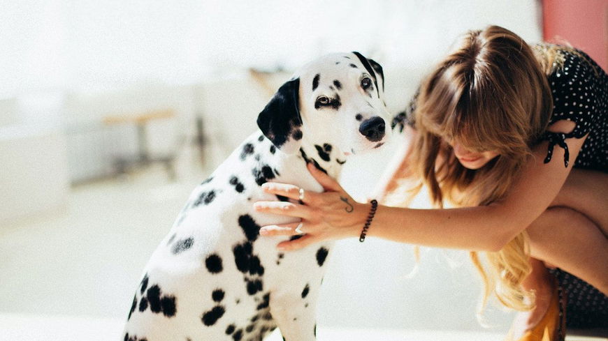 Diese 7 Dinge zeigen, dass dein Hund dich liebt