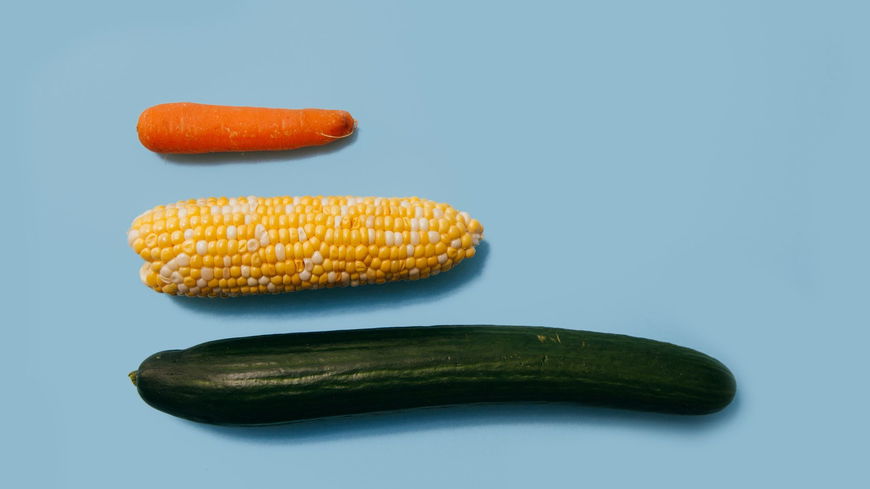 Diese Penistypen gibt es – und DAS sind ihre Vorlieben