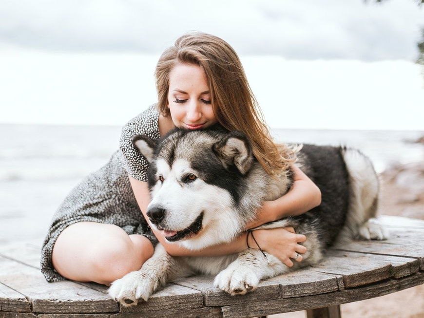 11 kuriose Fakten über Hunde, von denen du garantiert noch nie gehört hast