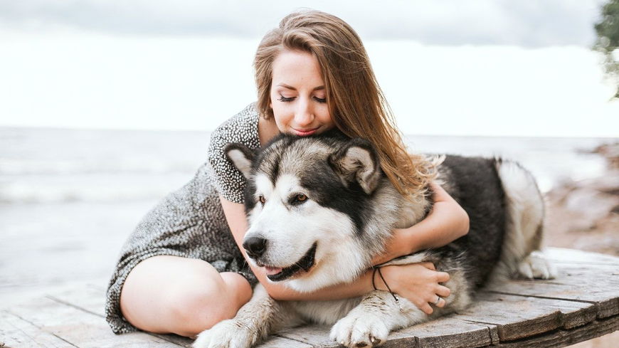 11 kuriose Fakten über Hunde, von denen du garantiert noch nie gehört hast